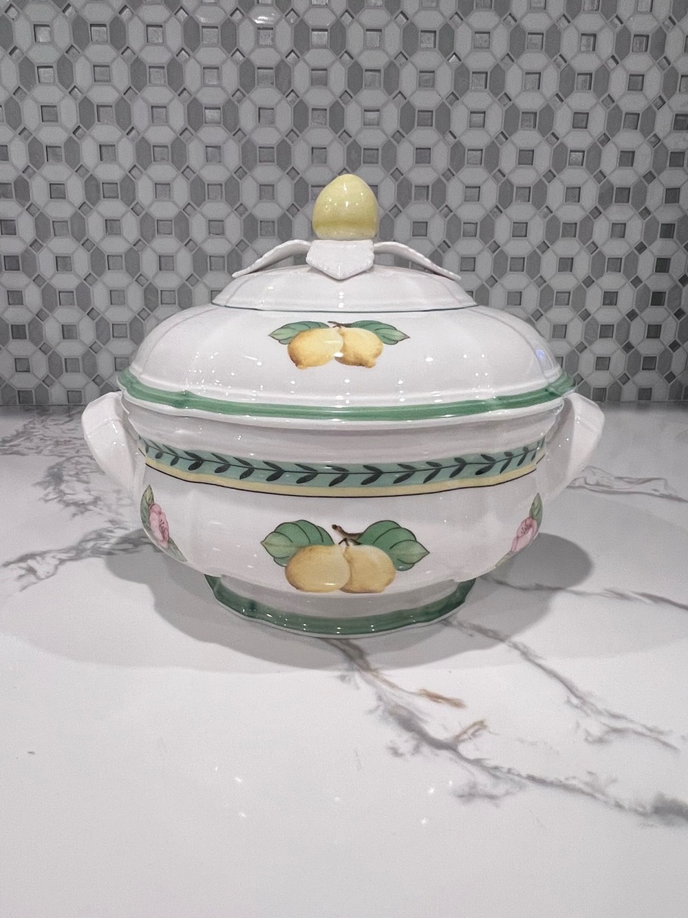 Villeroy & Boch French Garden Soup Fleurence Tureen Serving Dish